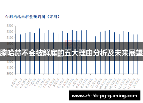 滕哈赫不会被解雇的五大理由分析及未来展望